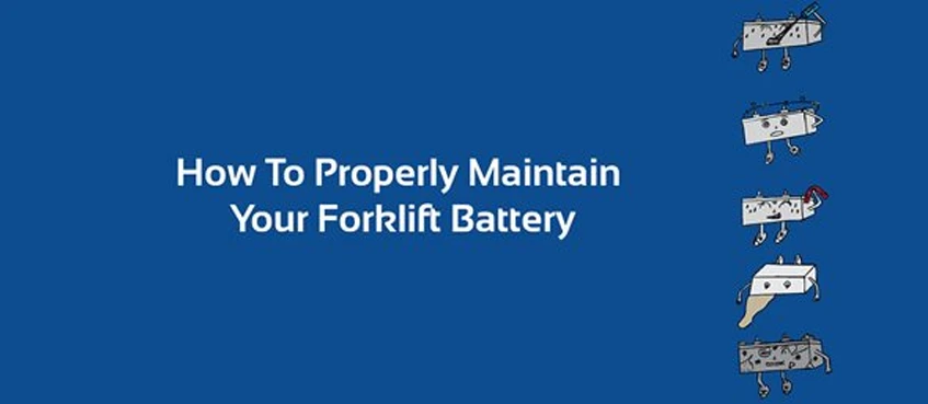 19.12.16-how-to-properly-maintain-your-forklift-battery.png
