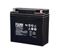 FIAMM 12FGH23slim Batteries