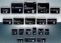 GS Yuasa PE/PX/PXL Batteries